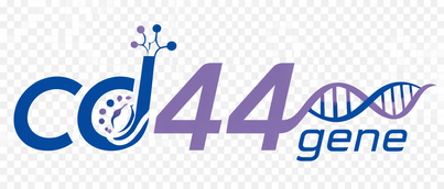 cd44 gene